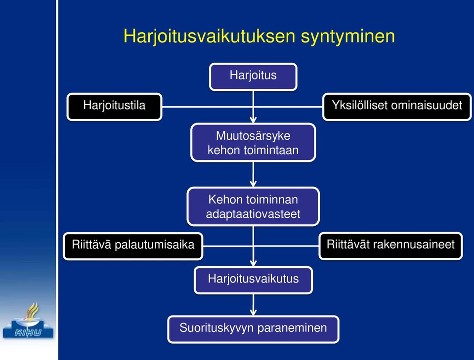 Kehon toiminnan adaptaatiovasteet Riittävä palautumisaika