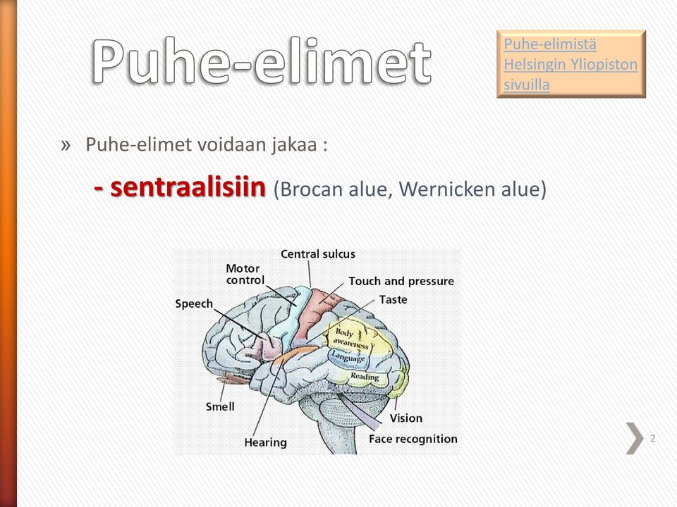 Puhe-elimet voidaan jakaa : -