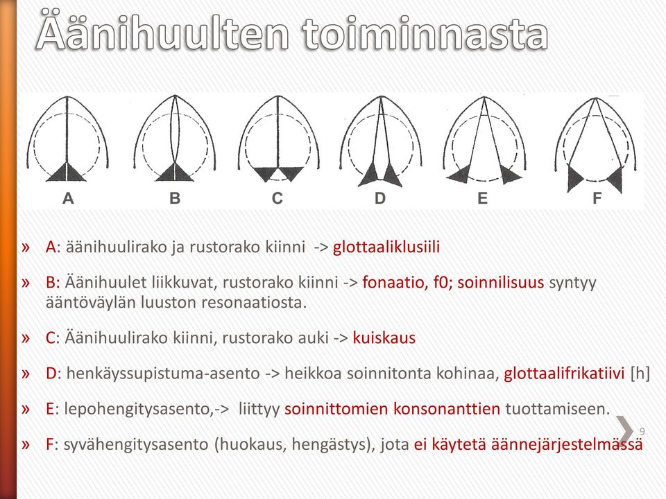 » C: Äänihuulirako kiinni, rustorako auki -> kuiskaus» D: henkäyssupistuma-asento -> heikkoa soinnitonta kohinaa,