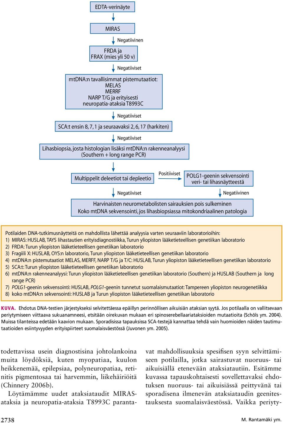 Negatiiviset Positiiviset POLG1-geenin sekvensointi veri- tai lihasnäytteestä Negatiivinen Harvinaisten neurometabolisten sairauksien pois sulkeminen Koko mtdna sekvensointi, jos lihasbiopsiassa