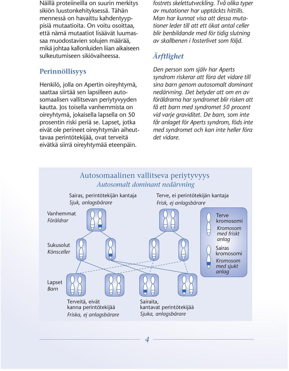 Perinnöllisyys Henkilö, jolla on Apertin oireyhtymä, saattaa siirtää sen lapsilleen autosomaalisen vallitsevan periytyvyyden kautta.