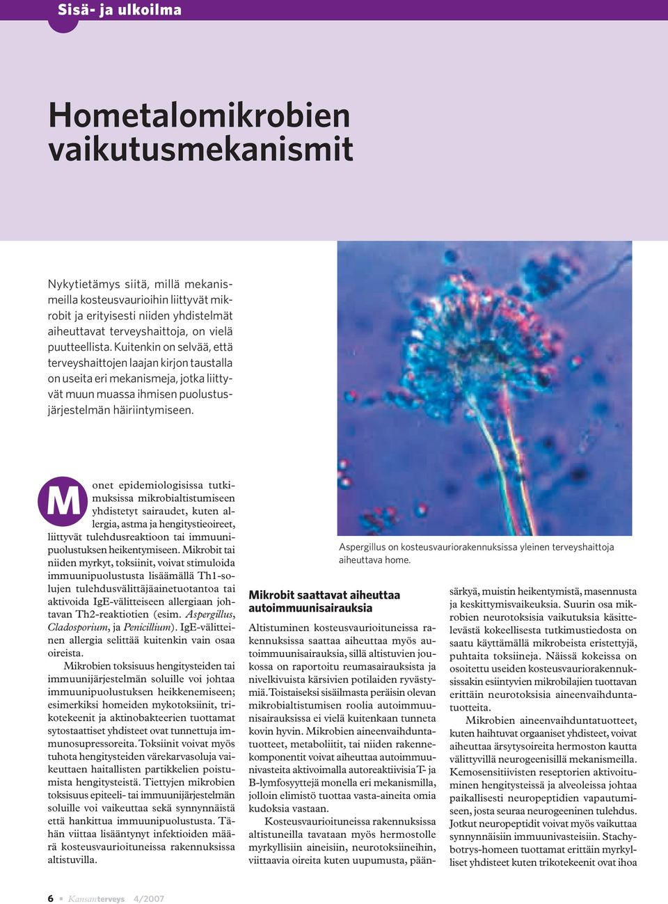 M onet epidemiologisissa tutkimuksissa mikrobialtistumiseen yhdistetyt sairaudet, kuten allergia, astma ja hengitystieoireet, liittyvät tulehdusreaktioon tai immuunipuolustuksen heikentymiseen.