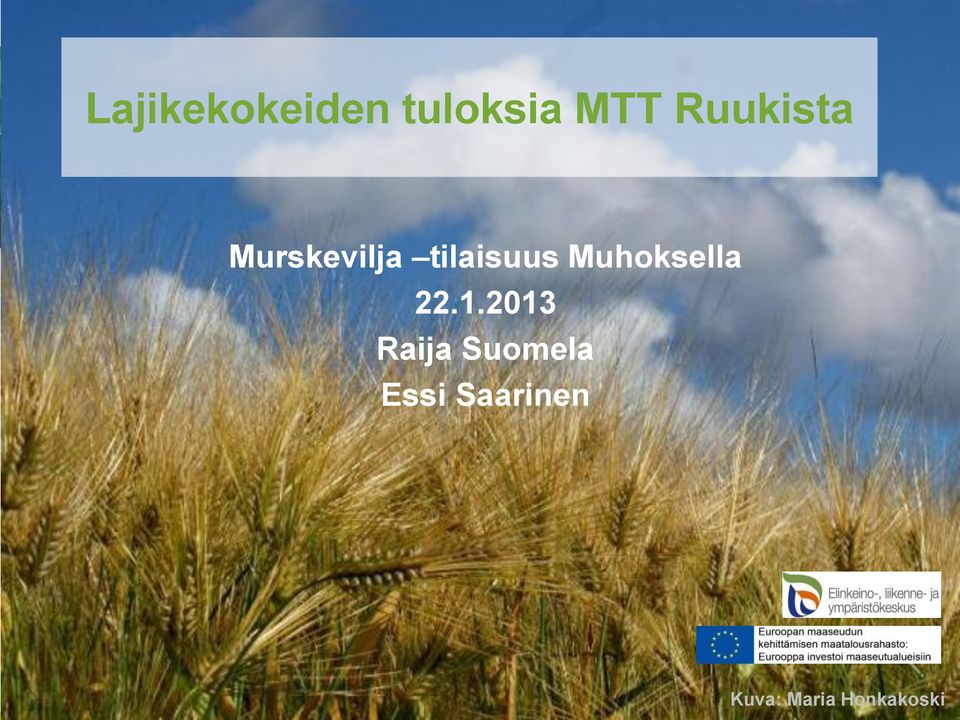 Muhoksella 22.1.