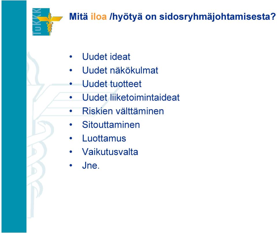 Uudet liiketoimintaideat Riskien