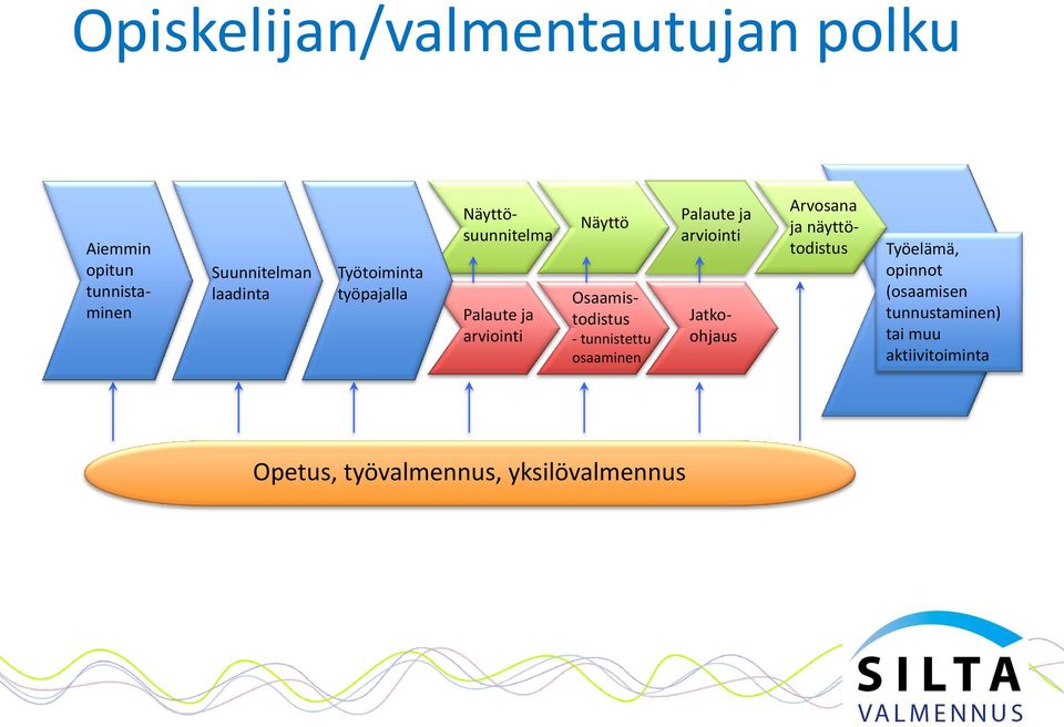 tunnistettu osaaminen Palaute ja arviointi Arvosana ja näyttötodistus Jatkoohjaus