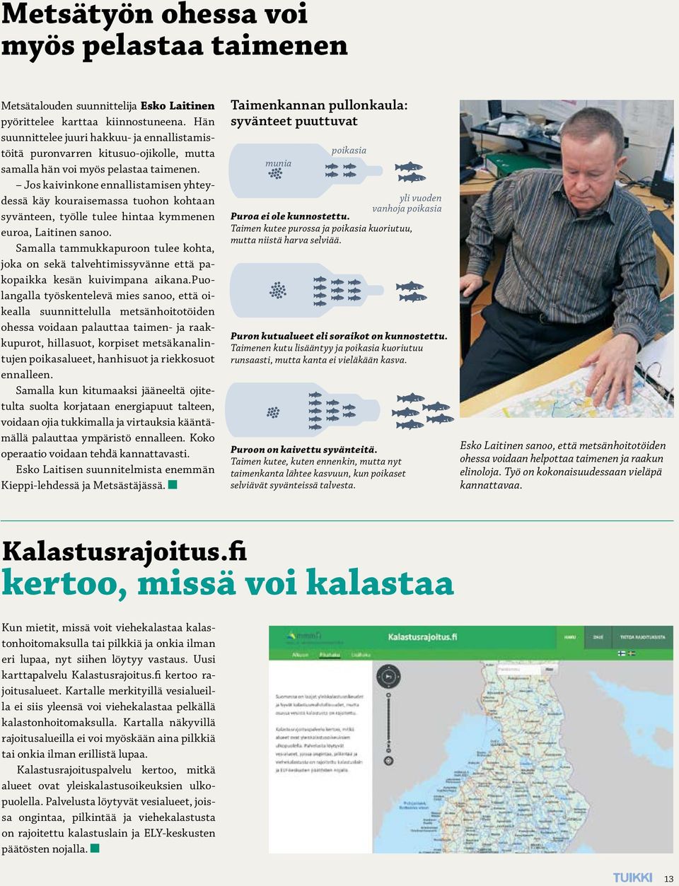 Jos kaivinkone ennallistamisen yhteydessä käy kouraisemassa tuohon kohtaan syvänteen, työlle tulee hintaa kymmenen euroa, Laitinen sanoo.