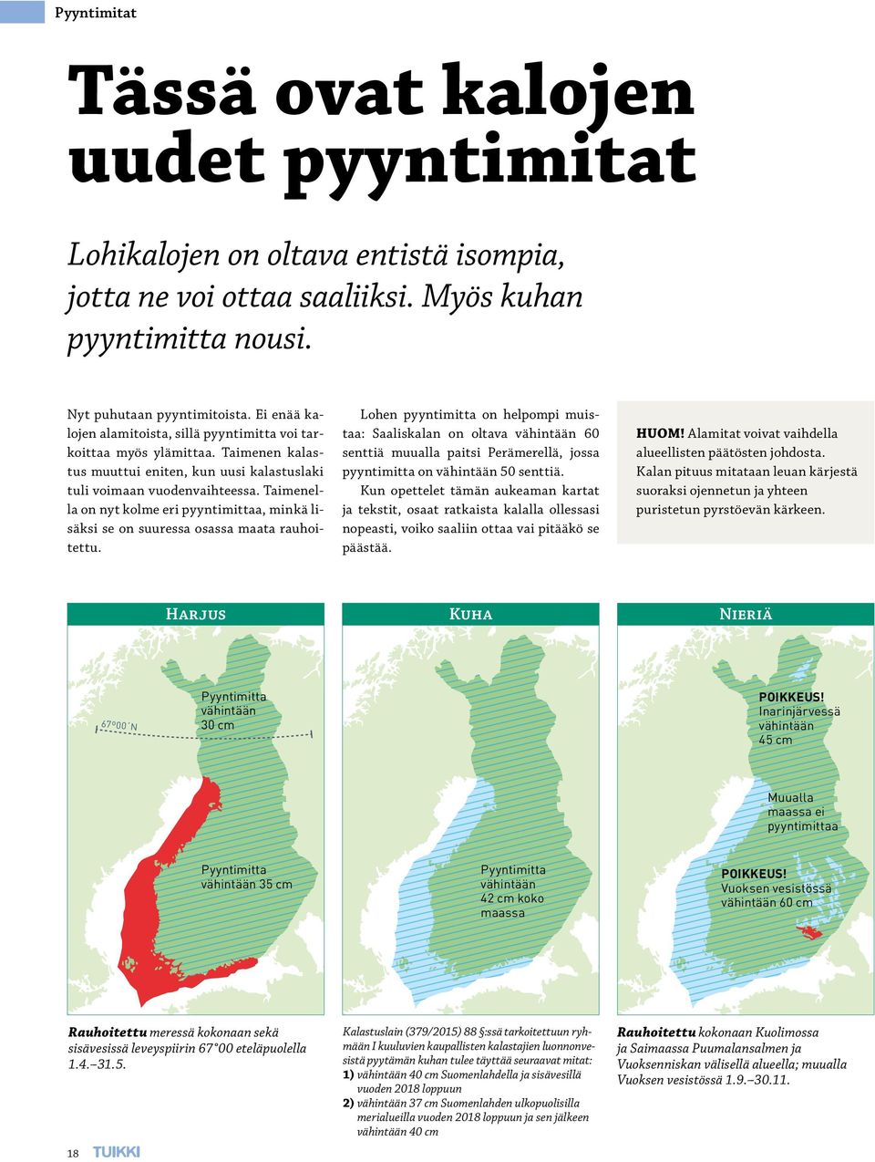 Taimenella on nyt kolme eri pyyntimittaa, minkä lisäksi se on suuressa osassa maata rauhoitettu.