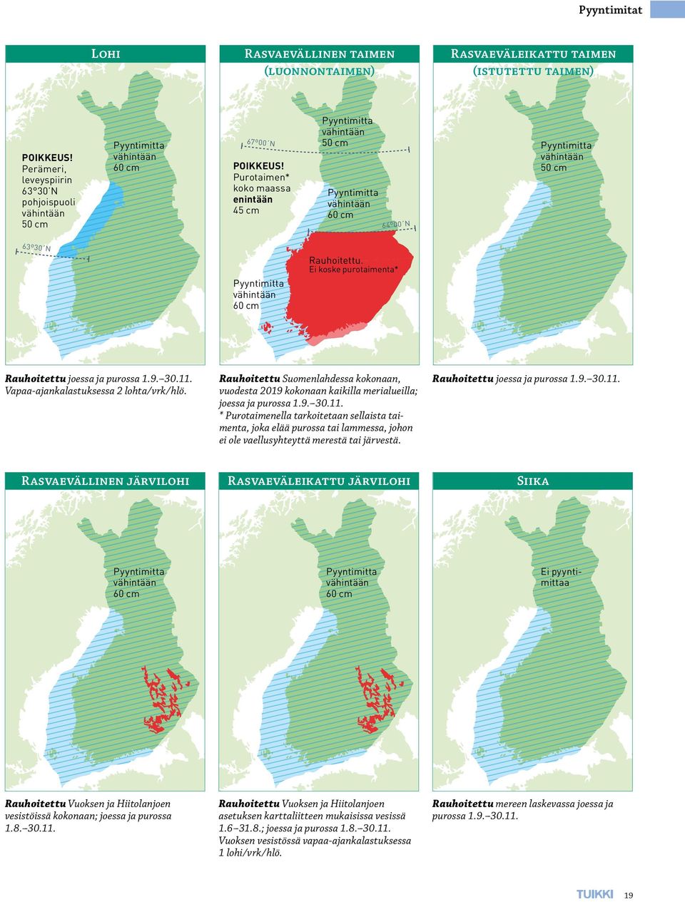 Purotaimen* koko maassa enintään 45 cm Pyyntimitta vähintään 50 cm Pyyntimitta vähintään 60 cm 64º00 N Pyyntimitta vähintään 50 cm 63º30 N Pyyntimitta vähintään 60 cm Rauhoitettu.