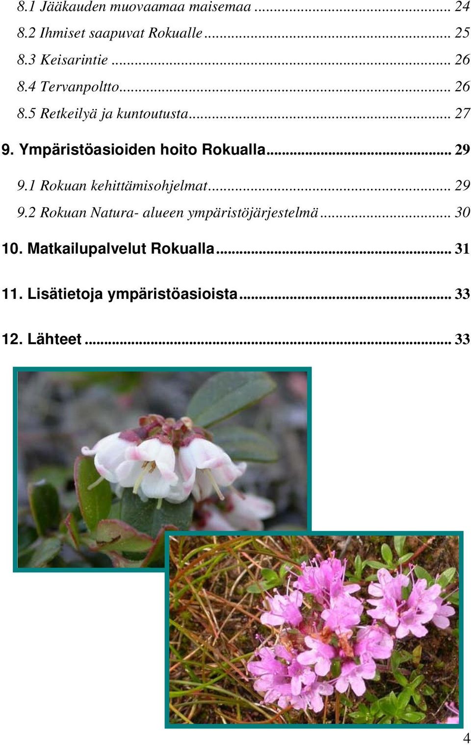 Ympäristöasioiden hoito Rokualla... 29 9.1 Rokuan kehittämisohjelmat... 29 9.2 Rokuan Natura- alueen ympäristöjärjestelmä.