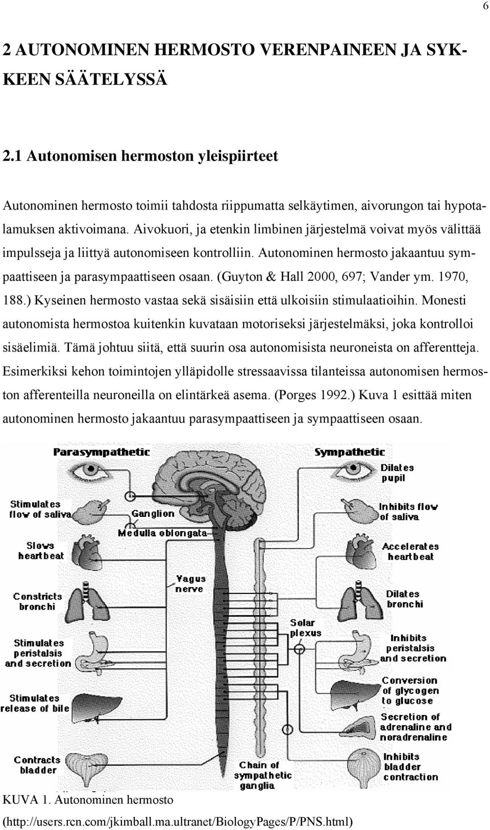 Aivokuori, ja etenkin limbinen järjestelmä voivat myös välittää impulsseja ja liittyä autonomiseen kontrolliin. Autonominen hermosto jakaantuu sympaattiseen ja parasympaattiseen osaan.