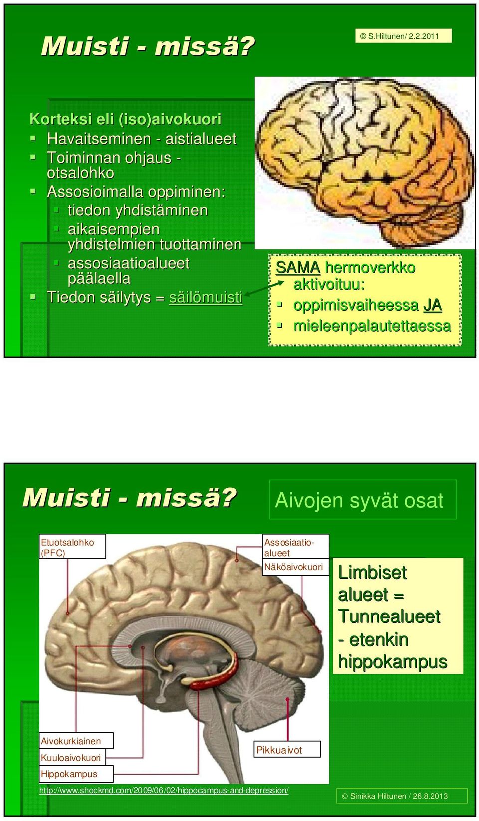 yhdistelmien tuottaminen assosiaatioalueet päälaella Tiedon säilytys s = säilömuisti SAMA hermoverkko aktivoituu: oppimisvaiheessa JA