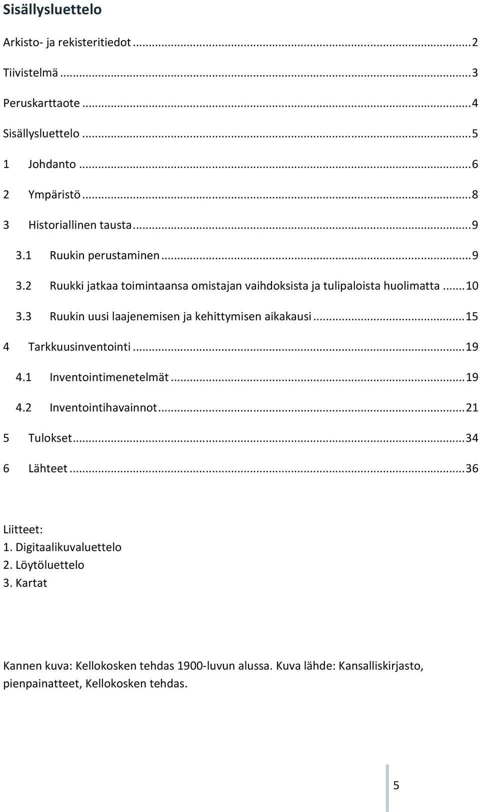 3 Ruukin uusi laajenemisen ja kehittymisen aikakausi... 15 4 Tarkkuusinventointi... 19 4.1 Inventointimenetelmät... 19 4.2 Inventointihavainnot... 21 5 Tulokset.