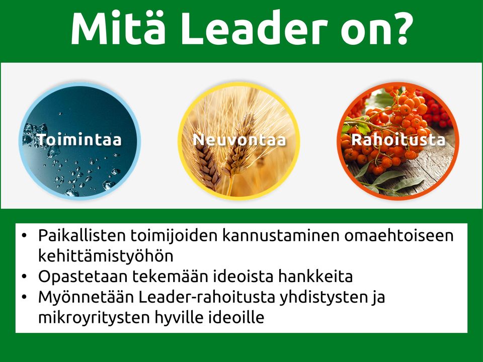 omaehtoiseen kehittämistyöhön Opastetaan tekemään