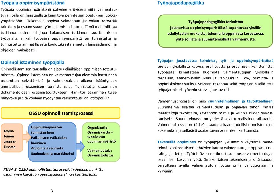 Tämä mahdollistaa tutkinnon osien tai jopa kokonaisen tutkinnon suorittamiseen työpajalla, mikäli työpajan oppimisympäristö on tunnistettu ja tunnustettu ammatillisesta koulutuksesta annetun