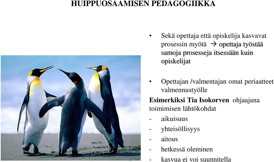 valmennustyölle Esimerkiksi Tia Isokorven ohjaajana toimimisen lähtökohdat -