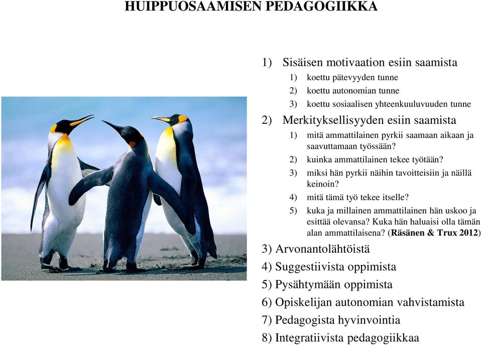 3) miksi hän pyrkii näihin tavoitteisiin ja näillä keinoin? 4) mitä tämä työ tekee itselle? 5) kuka ja millainen ammattilainen hän uskoo ja esittää olevansa?