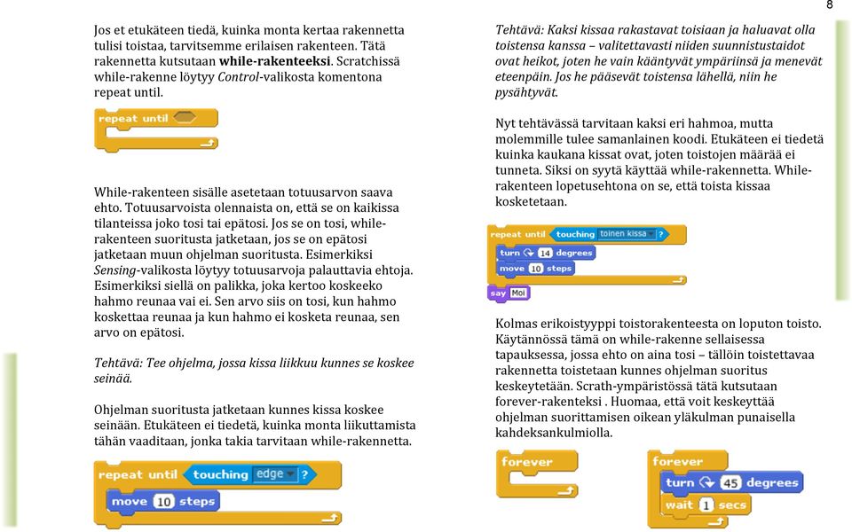 Totuusarvoista olennaista on, että se on kaikissa tilanteissa joko tosi tai epätosi. Jos se on tosi, while- rakenteen suoritusta jatketaan, jos se on epätosi jatketaan muun ohjelman suoritusta.