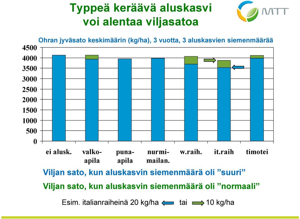 valkoapila punaapila nurmimailan. w.raih. it.