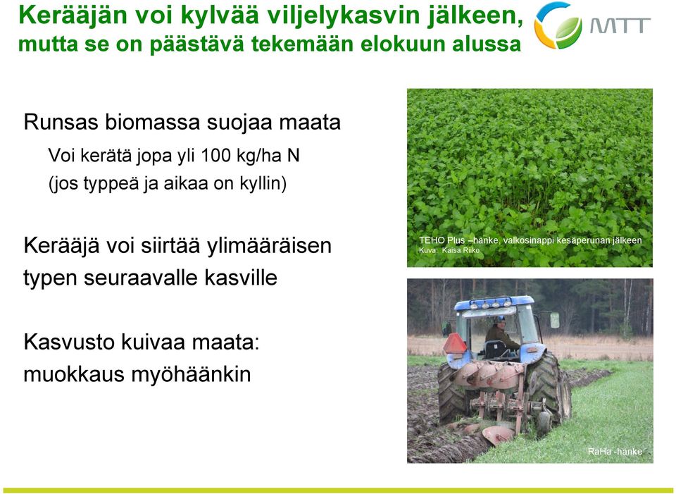 kyllin) Kerääjä voi siirtää ylimääräisen typen seuraavalle kasville TEHO Plus hanke,