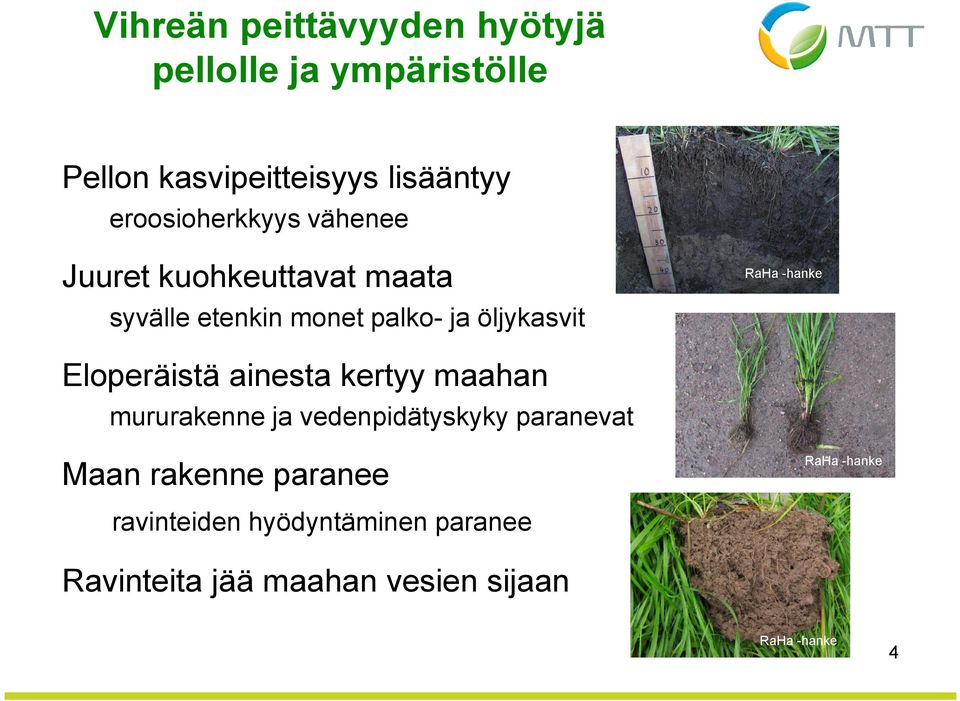 öljykasvit Eloperäistä ainesta kertyy maahan mururakenne ja vedenpidätyskyky paranevat Maan