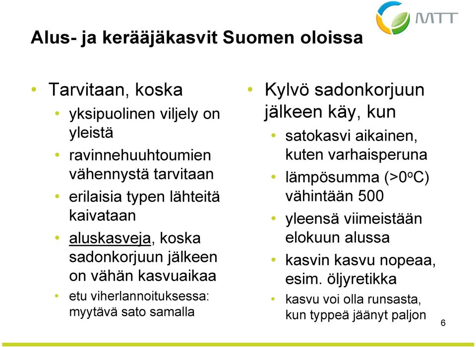 viherlannoituksessa: myytävä sato samalla Kylvö sadonkorjuun jälkeen käy, kun satokasvi aikainen, kuten varhaisperuna