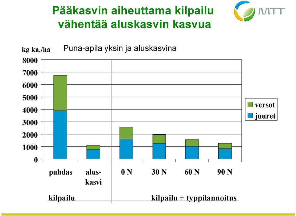 /ha Puna-apila yksin ja aluskasvina 8000 7000 6000 5000