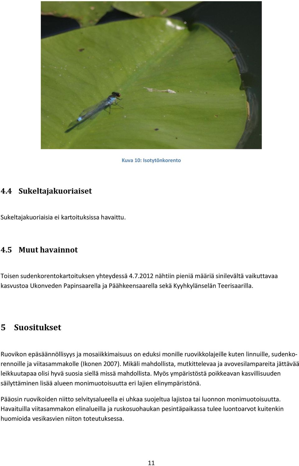5 Suositukset Ruovikon epäsäännöllisyys ja mosaiikkimaisuus on eduksi monille ruovikkolajeille kuten linnuille, sudenkorennoille ja viitasammakolle (Ikonen 2007).