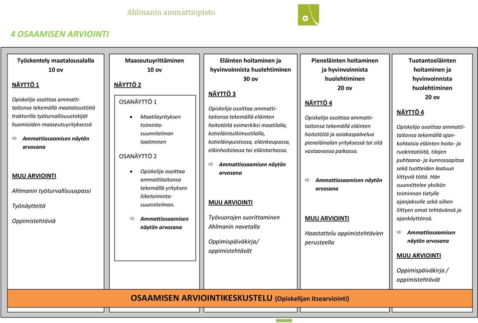 toimintasuunnitelman laatiminen Opiskelija osoittaa ammattitaitonsa tekemällä yrityksen liiketoimintasuunnitelman.