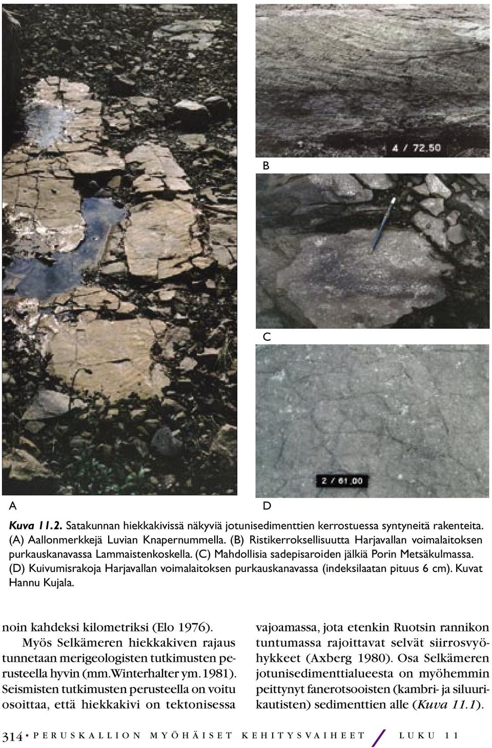 (D) Kuivumisrakoja Harjavallan voimalaitoksen purkauskanavassa (indeksilaatan pituus 6 cm). Kuvat Hannu Kujala. D noin kahdeksi kilometriksi (Elo 1976).