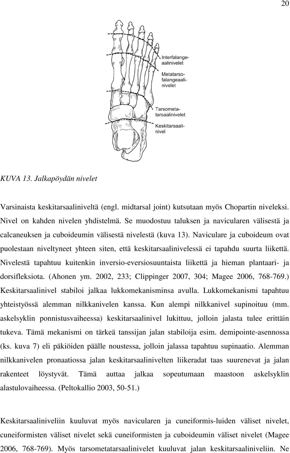 Naviculare ja cuboideum ovat puolestaan niveltyneet yhteen siten, että keskitarsaalinivelessä ei tapahdu suurta liikettä.