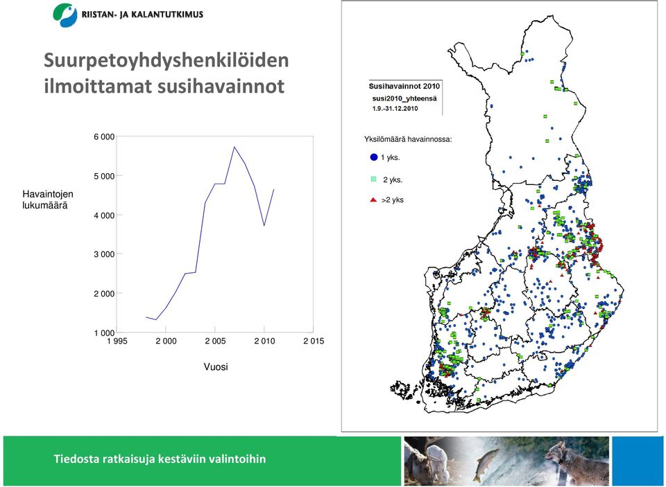 paikannuksista ja lumijälkiseurannoin Suomessa elävistä laumoista 40 60 %