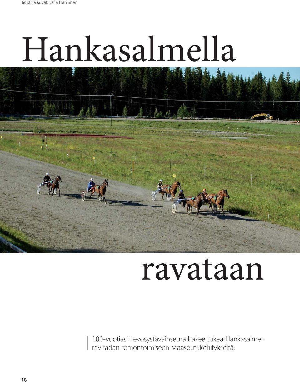 Hevosystäväinseura hakee tukea