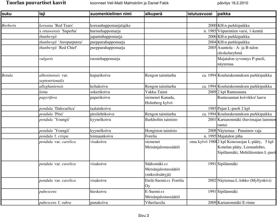 2005 Asuntola - A- ja B-talon oleskeluryhmä vulgaris ruostehappomarja Majatalon syvennys P-puoli, näytemaa Betula albosinensis var. kuparikoivu Rengon taimitarha ca.