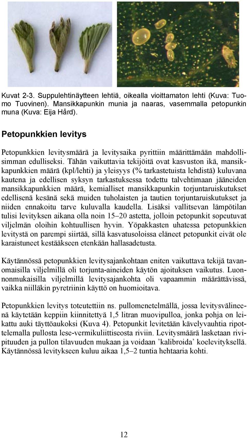 Tähän vaikuttavia tekijöitä ovat kasvuston ikä, mansikkapunkkien määrä (kpl/lehti) ja yleisyys (% tarkastetuista lehdistä) kuluvana kautena ja edellisen syksyn tarkastuksessa todettu talvehtimaan