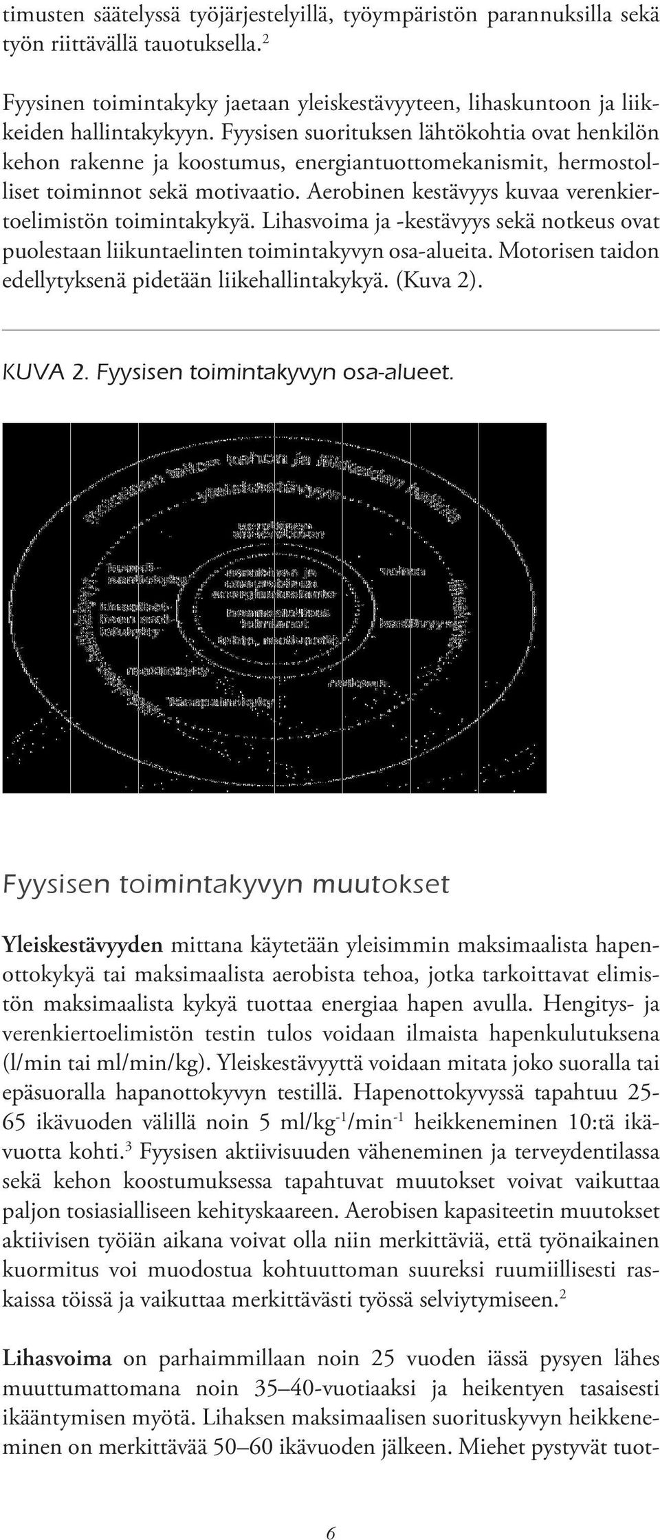 Aerobinen kestävyys kuvaa verenkiertoelimistön toimintakykyä. Lihasvoima ja -kestävyys sekä notkeus ovat puolestaan liikuntaelinten toimintakyvyn osa-alueita.