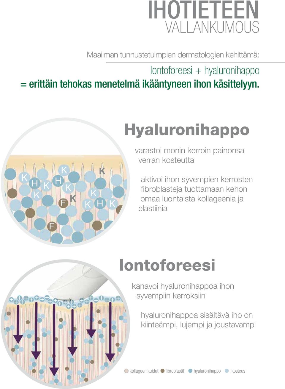 Hyaluronihappo K H K K K H K F K K K K H K varastoi monin kerroin painonsa verran kosteutta aktivoi ihon syvempien kerrosten fibroblasteja tuottamaan