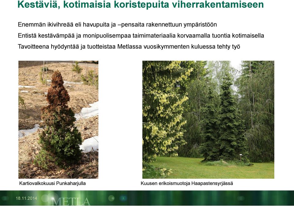 korvaamalla tuontia kotimaisella Tavoitteena hyödyntää ja tuotteistaa Metlassa