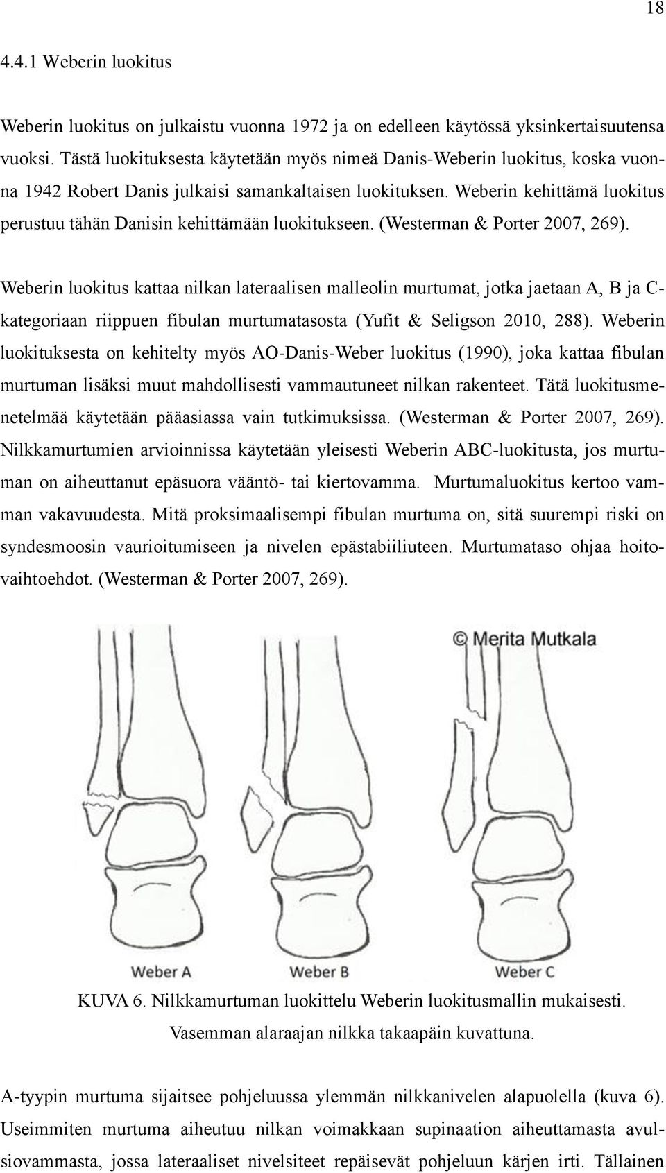 Weberin kehittämä luokitus perustuu tähän Danisin kehittämään luokitukseen. (Westerman & Porter 2007, 269).