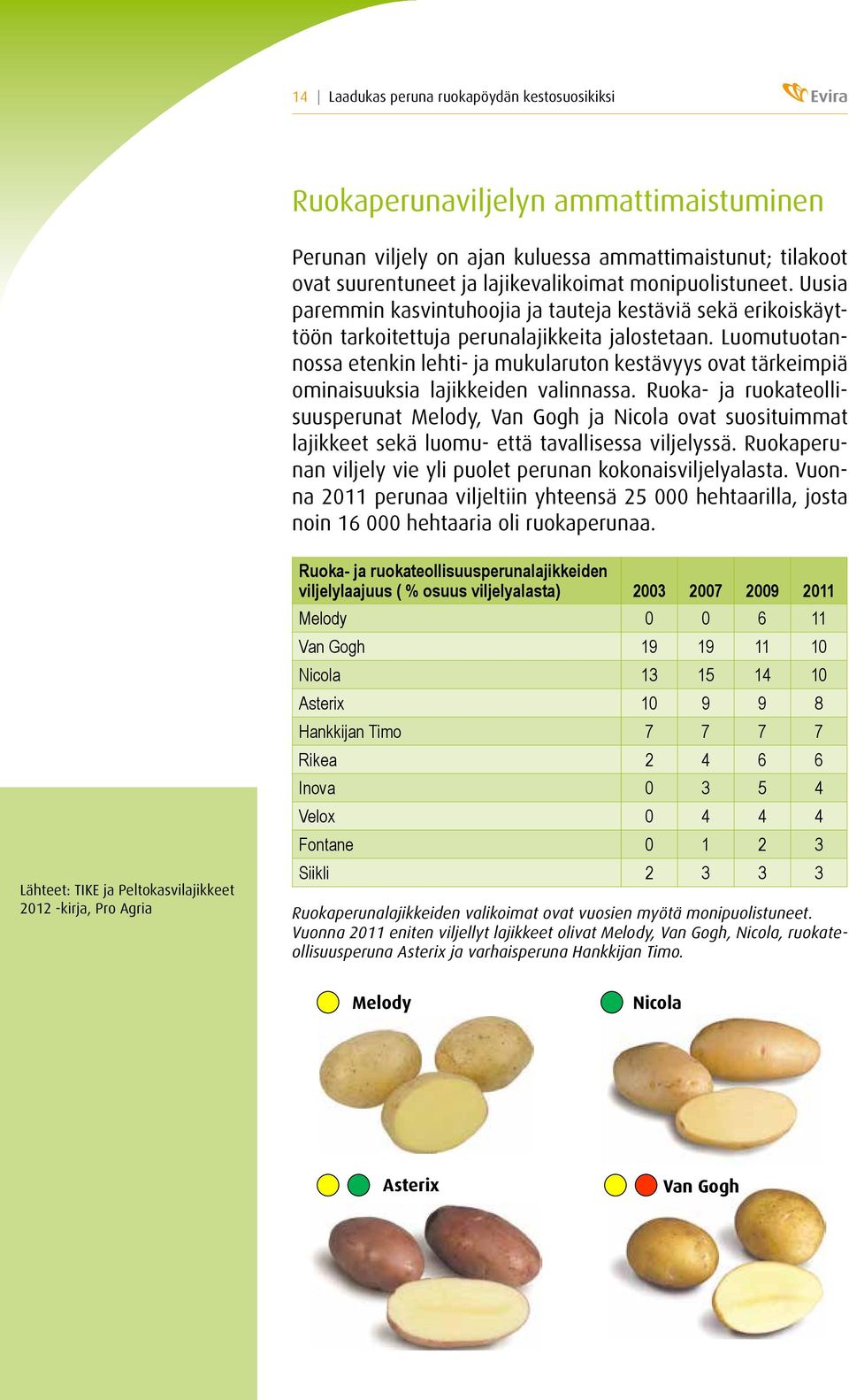 Luomutuotannossa etenkin lehti- ja mukularuton kestävyys ovat tärkeimpiä ominaisuuksia lajikkeiden valinnassa.