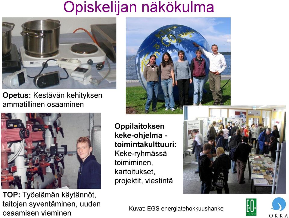 toimiminen, kartoitukset, projektit, viestintä TOP: Työelämän