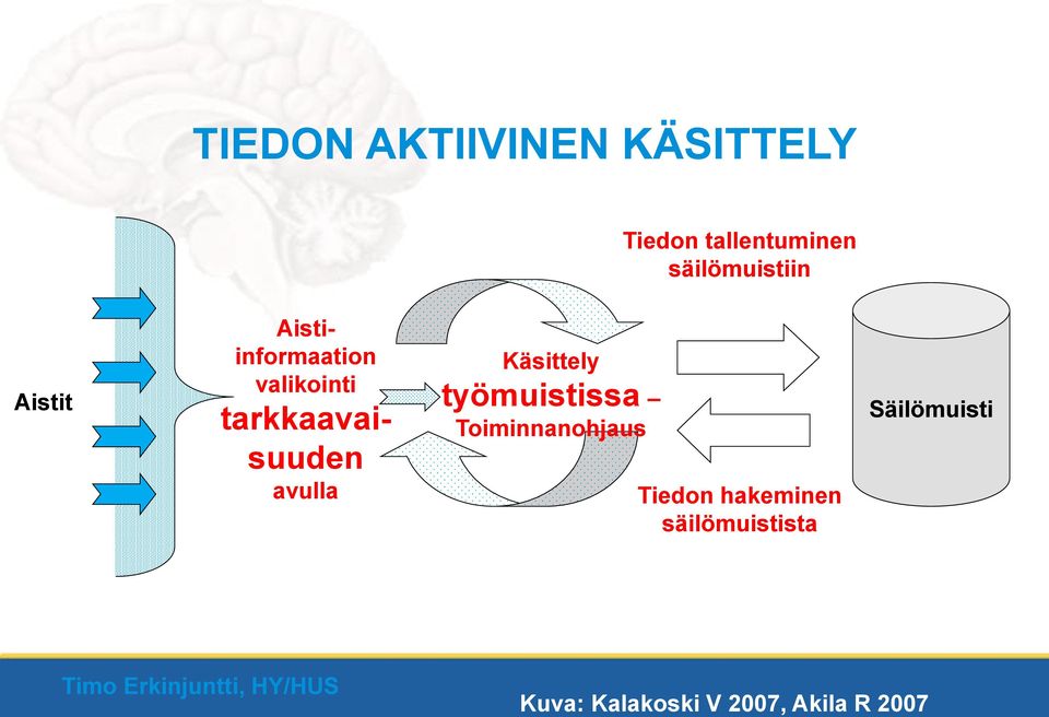 tarkkaavaisuuden avulla Käsittely työmuistissa