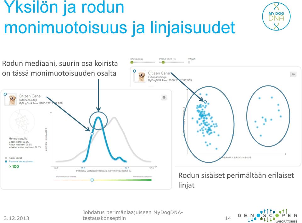 osalta Rodun sisäiset perimältään erilaiset linjat