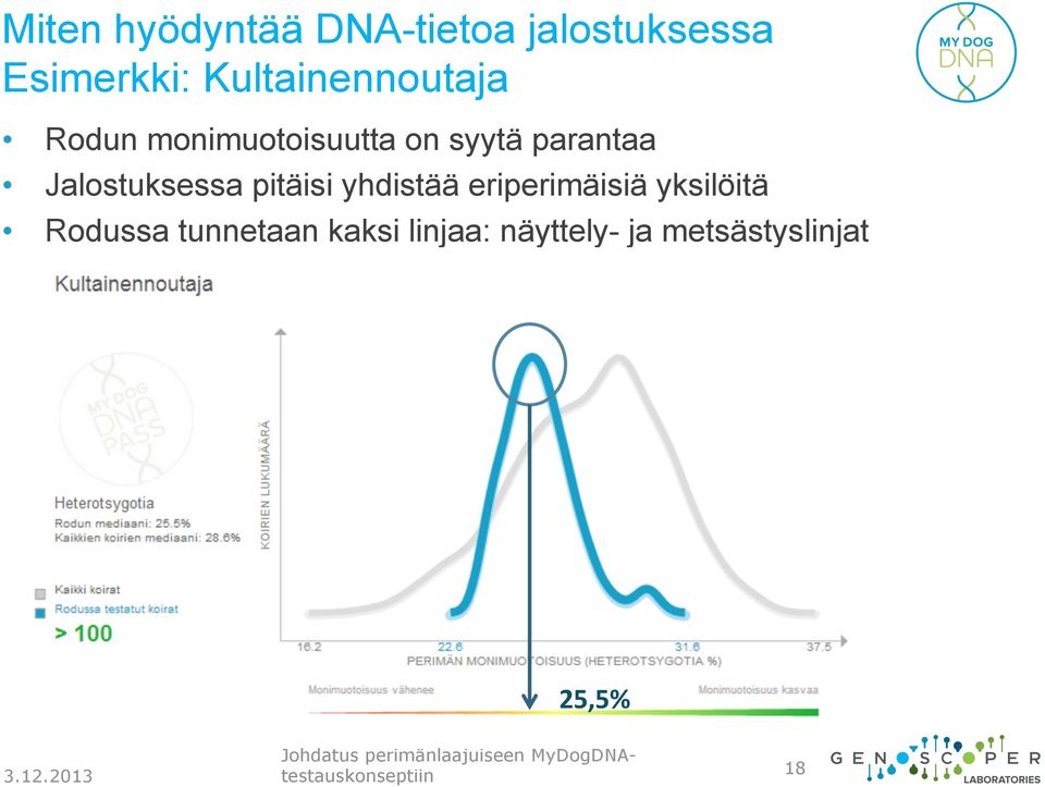 eriperimäisiä yksilöitä Rodussa tunnetaan kaksi linjaa: näyttely- ja