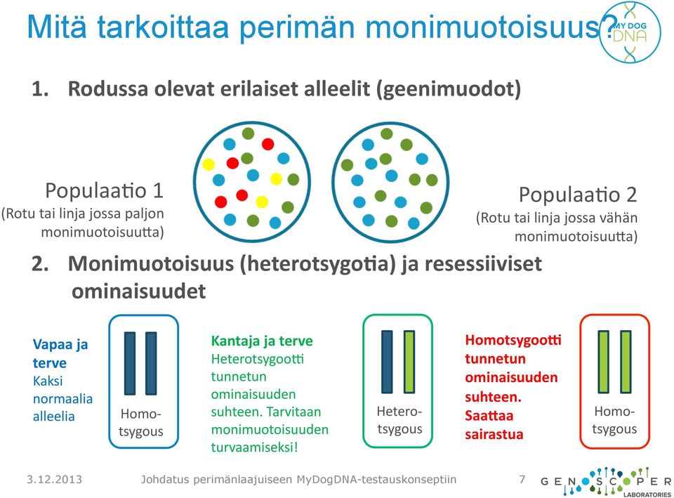 Monimuotoisuus (heterotsygoda) ja resessiiviset ominaisuudet PopulaaAo 2 (Rotu tai linja jossa vähän monimuotoisuu9a) Vapaa ja terve Kaksi