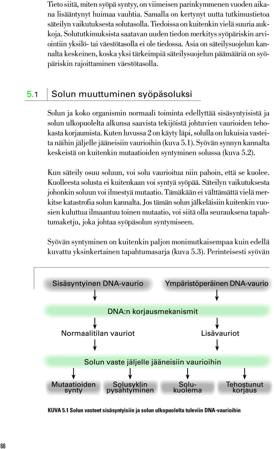 Asia on säteilysuojelun kannalta keskeinen, koska yksi tärkeimpiä säteilysuojelun päämääriä on syöpäriskin rajoittaminen väestötasolla. 5.