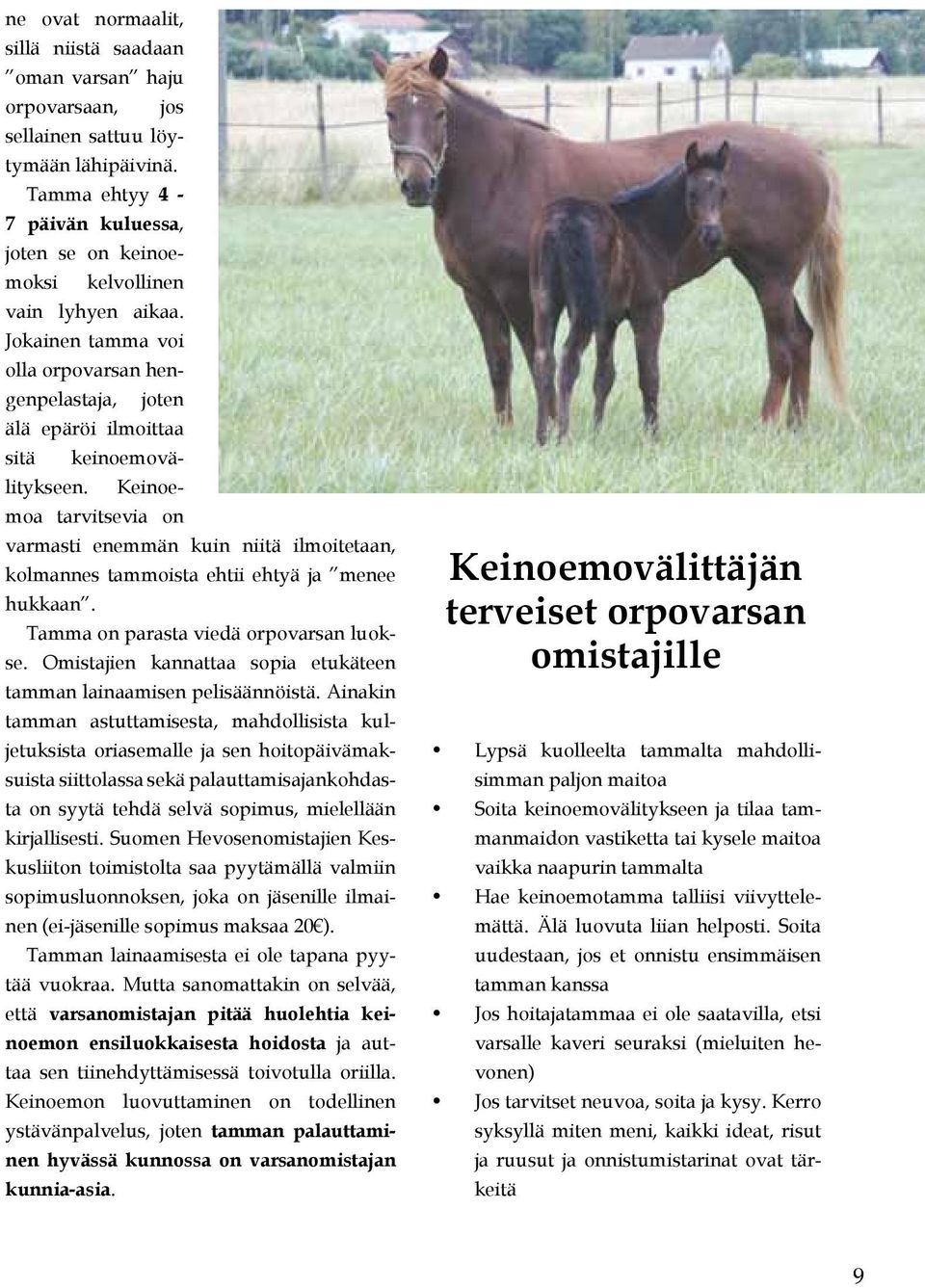 Keinoemoa tarvitsevia on varmasti enemmän kuin niitä ilmoitetaan, kolmannes tammoista ehtii ehtyä ja menee hukkaan. Tamma on parasta viedä orpovarsan luokse.