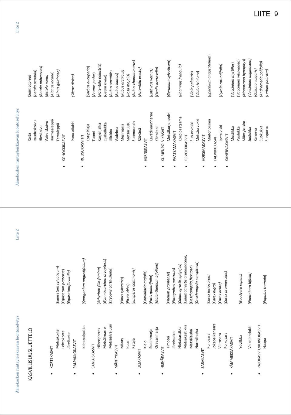 sylvestris) Kuusi (Picea abies) Kataja (Juniperus communis) LILJAKASVIT Kielo (Convallaria majalis) Sudenmarja (Paris quadrifolia) Oravanmarja (Maianthemum bifolium) HEINÄKASVIT Timotei (Phelum