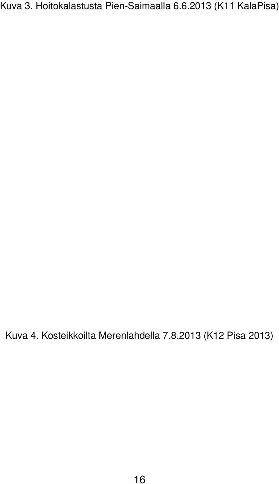 6.6.2013 (K11 KalaPisa) Kuva 4.