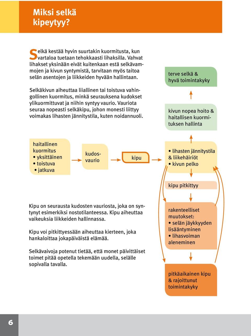 Selkäkivun aiheuttaa liiallinen tai toistuva vahingollinen kuormitus, minkä seurauksena kudokset ylikuormittuvat ja niihin syntyy vaurio.