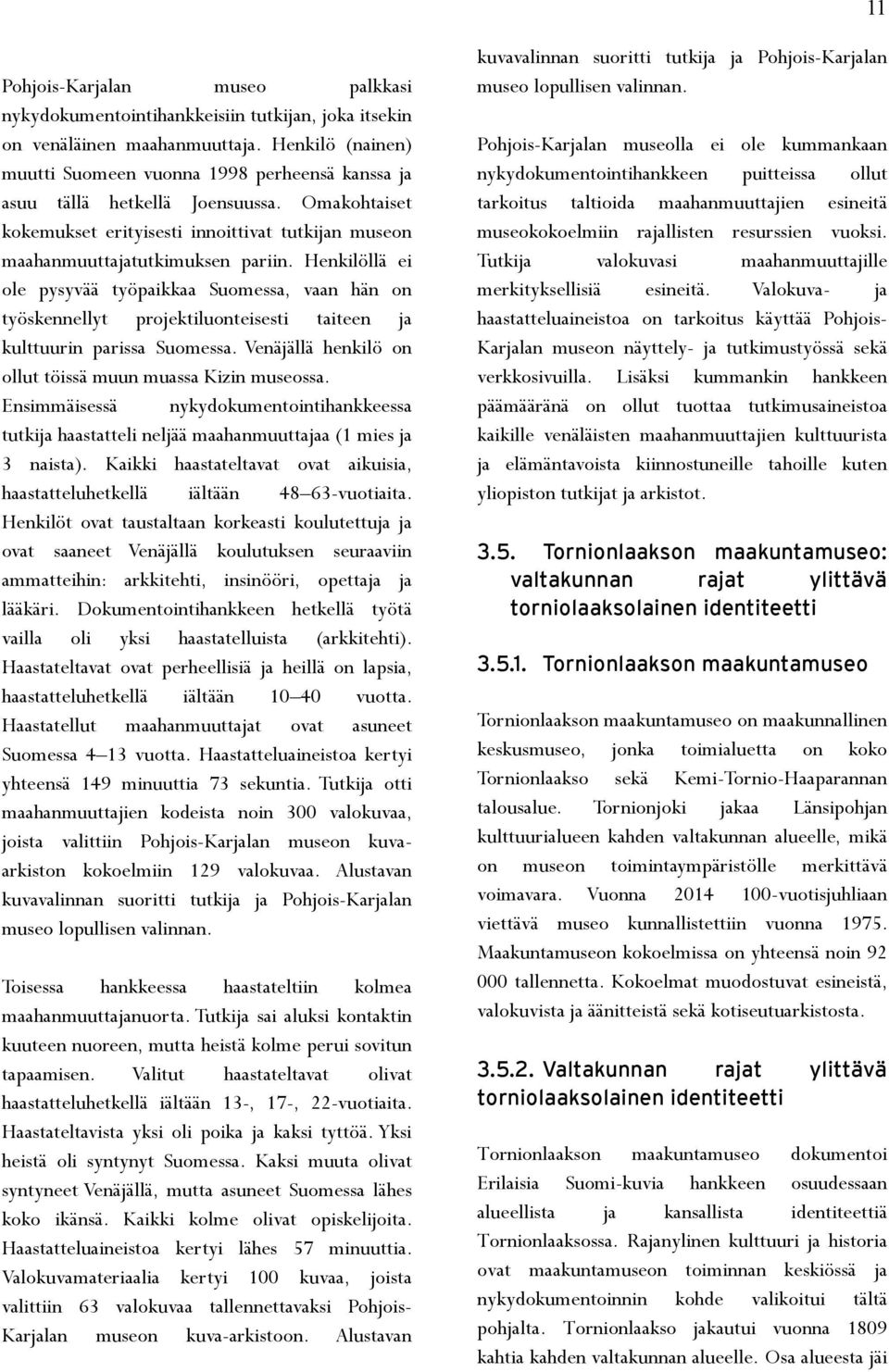 Henkilöllä ei ole pysyvää työpaikkaa Suomessa, vaan hän on työskennellyt projektiluonteisesti taiteen ja kulttuurin parissa Suomessa. Venäjällä henkilö on ollut töissä muun muassa Kizin museossa.